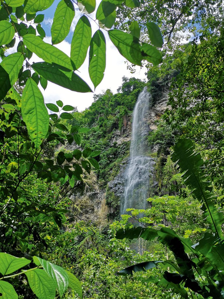 Maracas Falls, Trinidad and Tobago