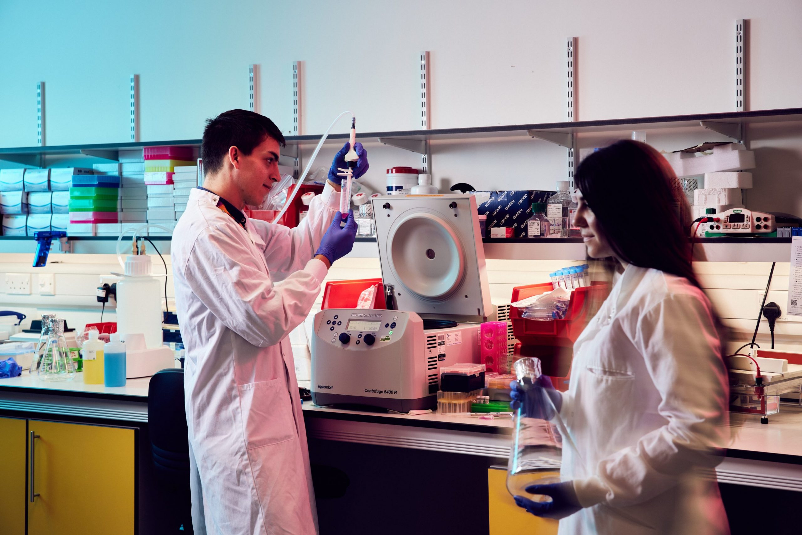 Researchers working in lab