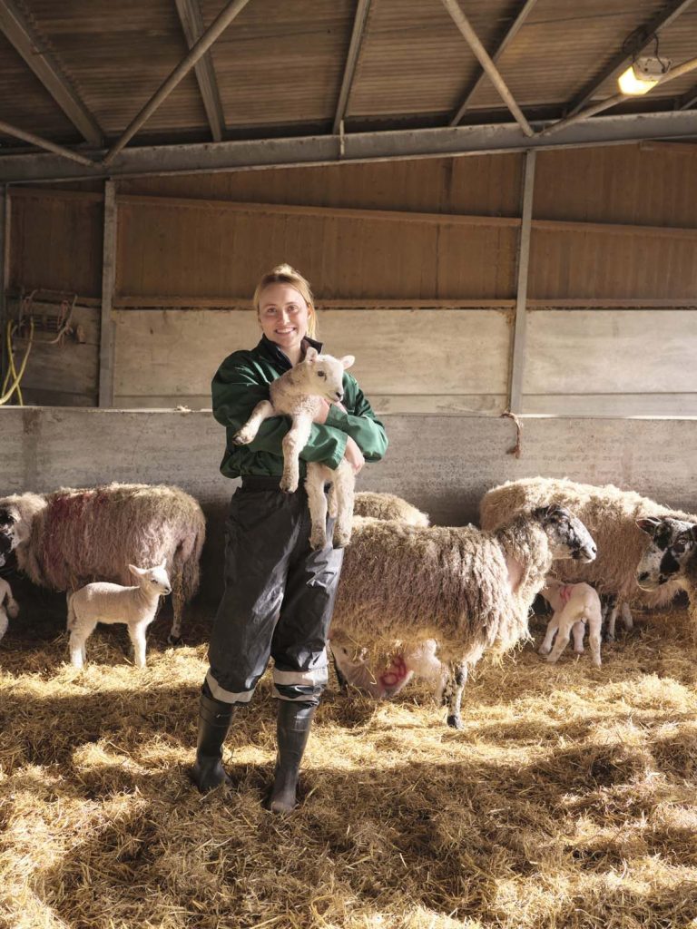 Vet student holding lamb with sheep and lambs in background