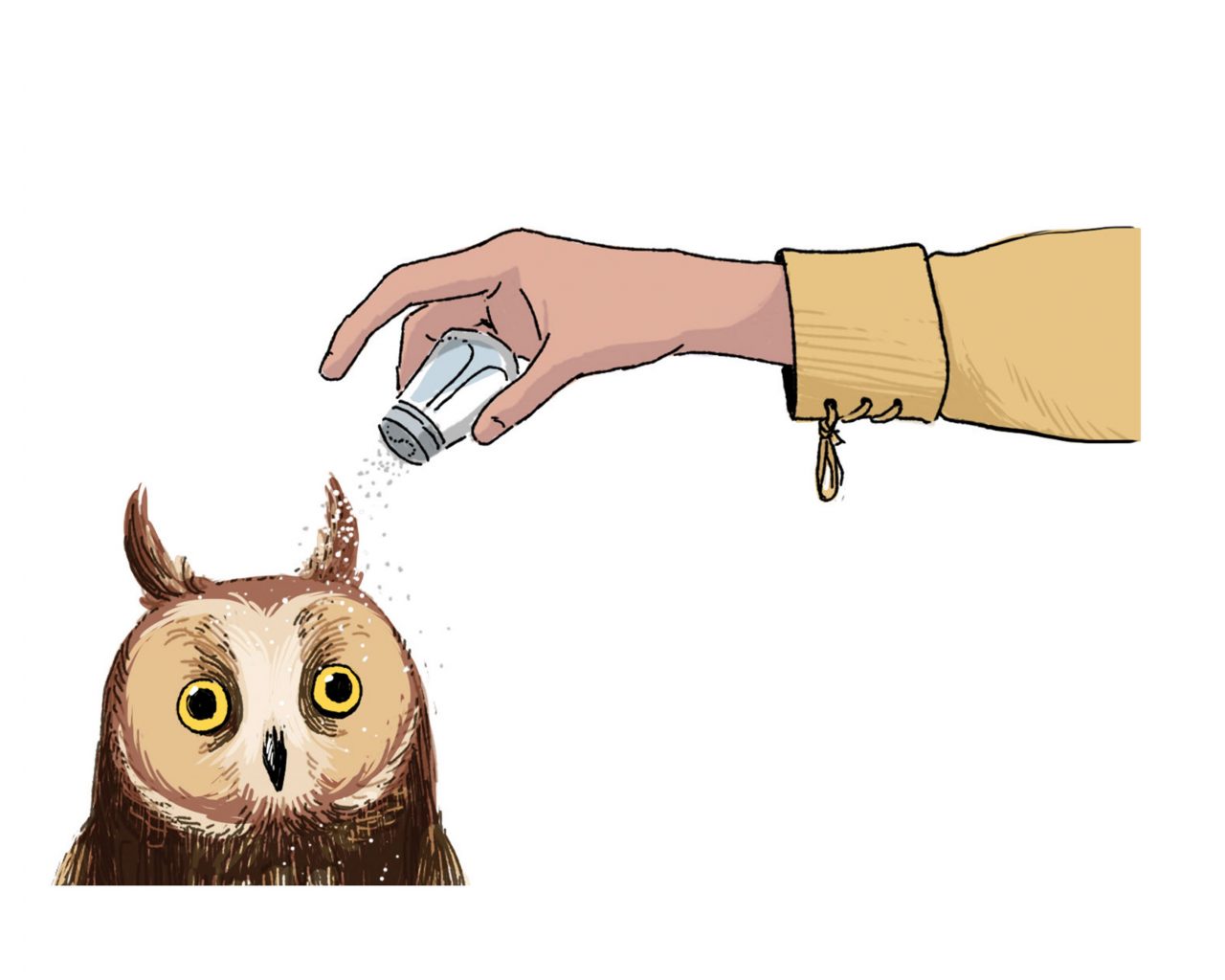 Salting an owl