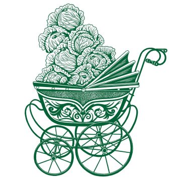 Cabbages in pram